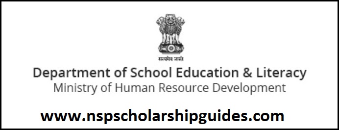 Scholarships by Department of School Education and Literacy