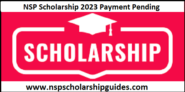 NSP Scholarship 2023 Payment Pending