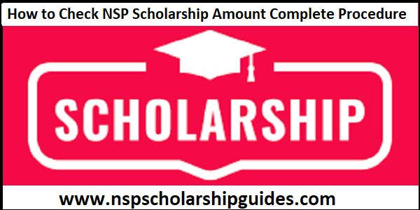 How to Check NSP Scholarship Status, Amount - Complete Procedure 