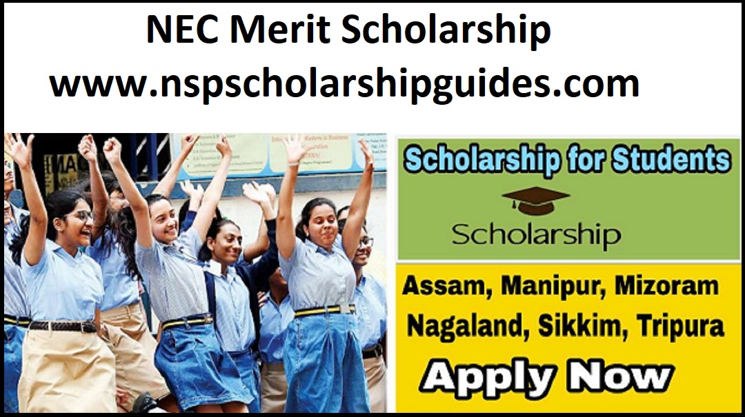 NEC Merit Scholarship