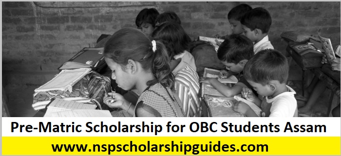 Pre-Matric Scholarship for OBC Students Assam