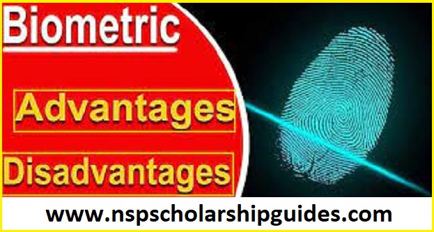 Advantages and Disadvantages of NSP Biometrics