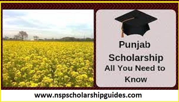 Enhancing Educational Opportunities through Punjab Scholarships