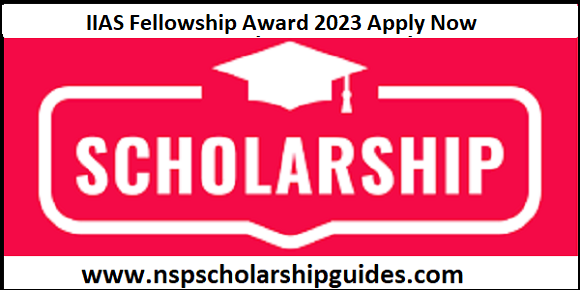 IIAS Fellowship Award 2023 Apply Now